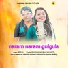 About Naram Naram Gulgula Song